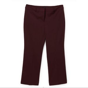 Talbots Plus Barely Boot Burgundy Pants